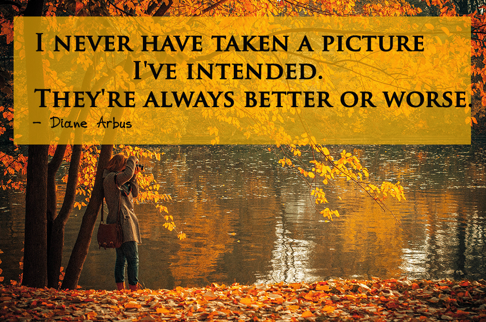 11 Beautiful Quotes about Photography