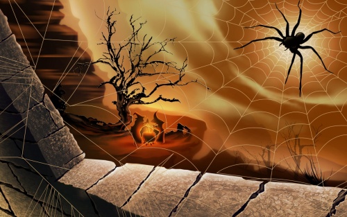 Black Spider