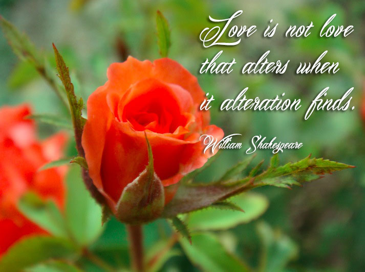 Love is not love that alters when it alteration finds – Cool Digital ...