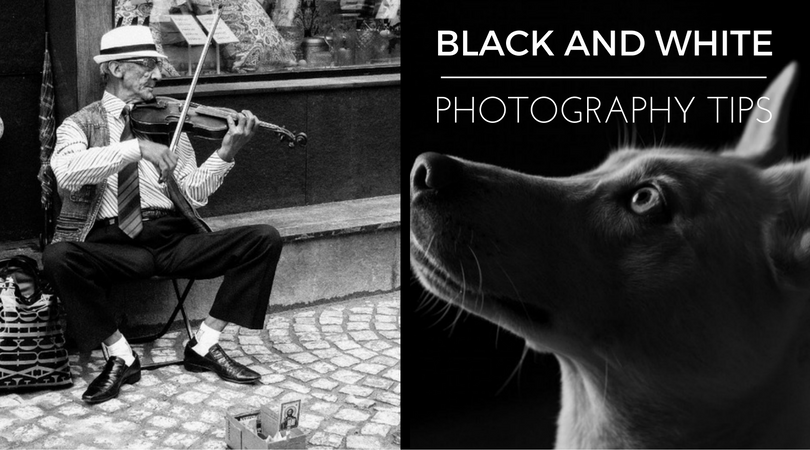 5 Black And White Photography Tips For Photographers In You