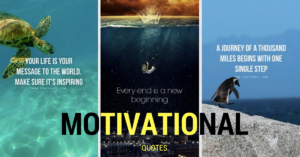 Motivational quotes