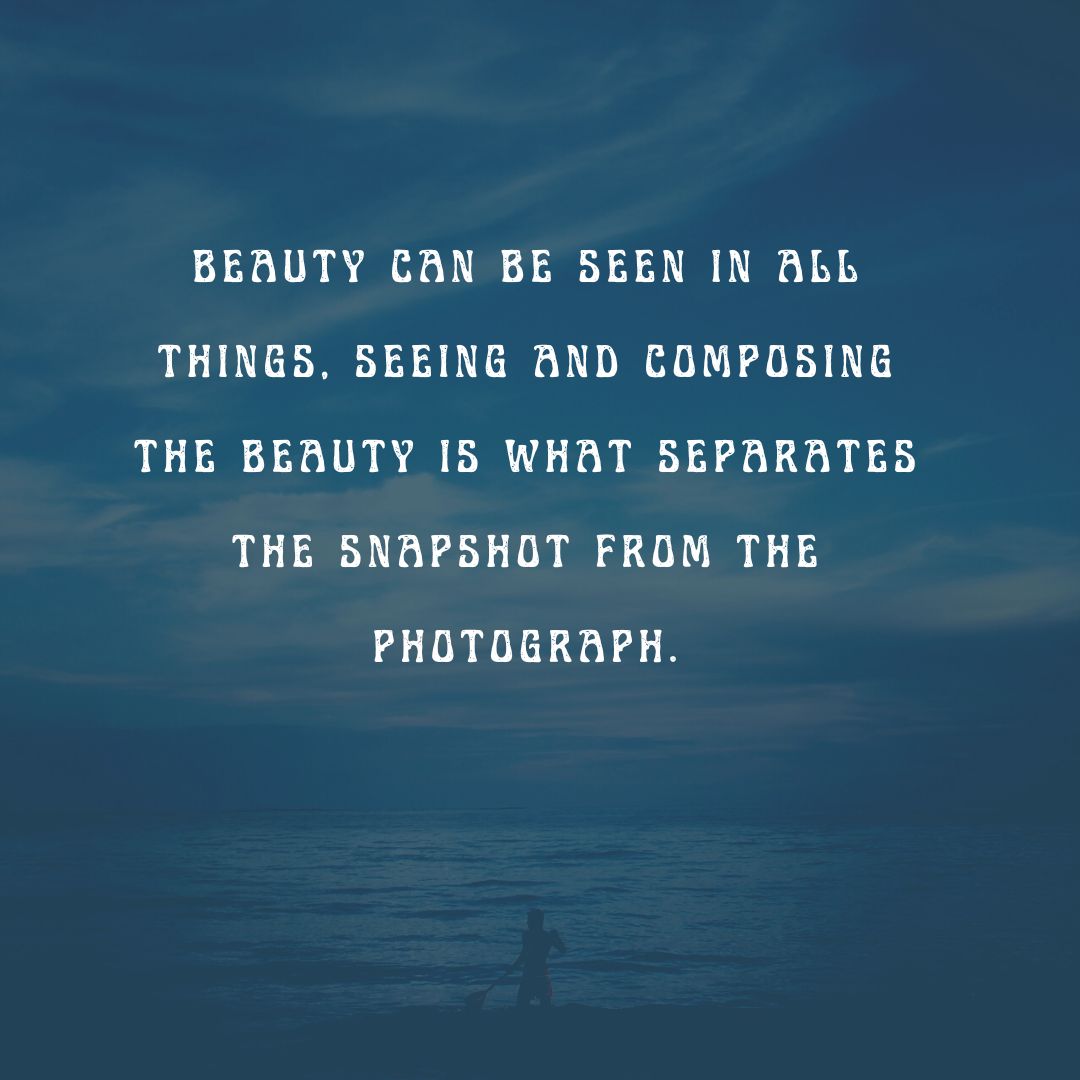 11 Beautiful Quotes About Photography